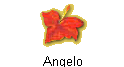Angelo